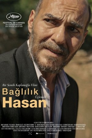 Bağlılık Hasan