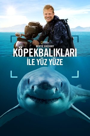 Bertie Gregory Köpekbalıkları ile Yüz Yüze - Sharks Up Close with Bertie Gregory