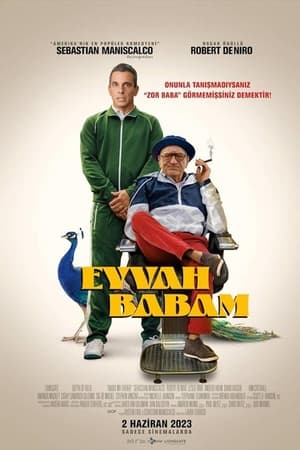 Eyvah Babam - About My Father