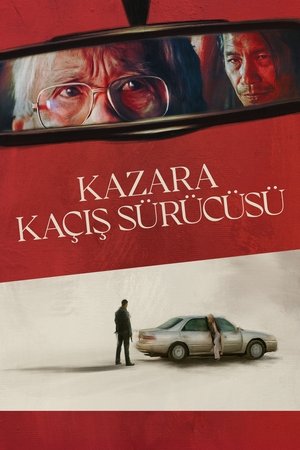 Kazara Kaçış Sürücüsü - The Accidental Getaway Driver