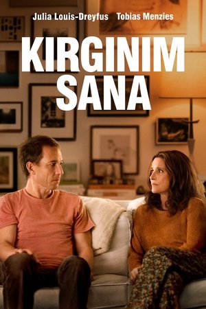 Kırgınım Sana - You Hurt My Feelings