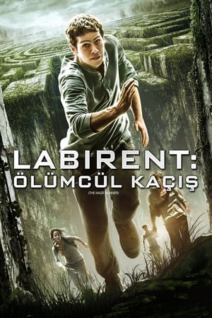 Labirent: Ölümcül Kaçış - The Maze Runner