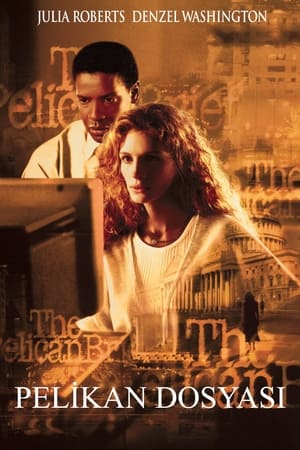 Pelikan Dosyası - The Pelican Brief