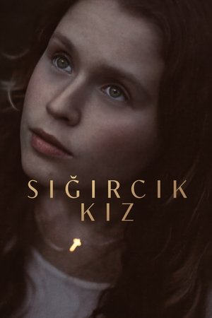 Sığırcık Kız - The Starling Girl