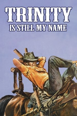 Trinita Kardeşler - Trinity Is Still My Name