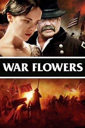Savaş Çiçekleri - War Flowers