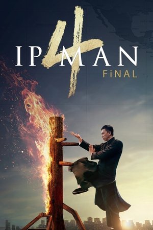 Yip Man 4 -  Ip Man 4: The Finale
